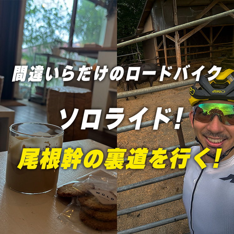 【ソロぼやきライド】いつもの尾根幹をちょっとズレて走ってみたら、のどかで超癒された😊