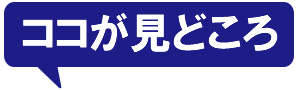 ツール ド フランスって何が面白いの 基礎編 Tokyolife