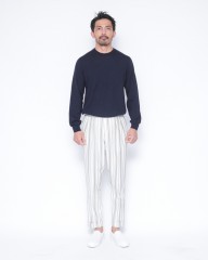 BERWICHコットンストライプ 2インプリーツアジャスターパンツ【SCOTCH/SB1087】mb_21l