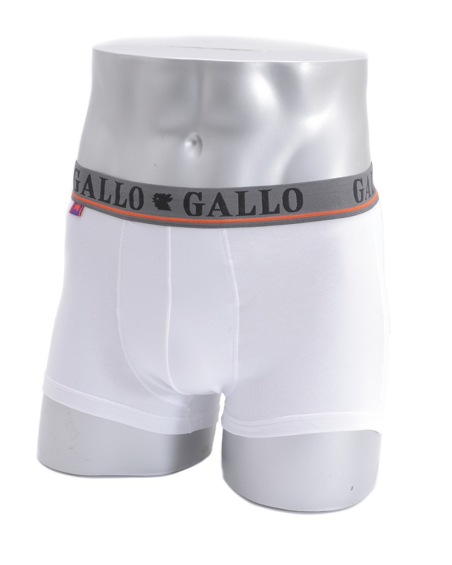 GALLOベーシックボクサーブリーフma