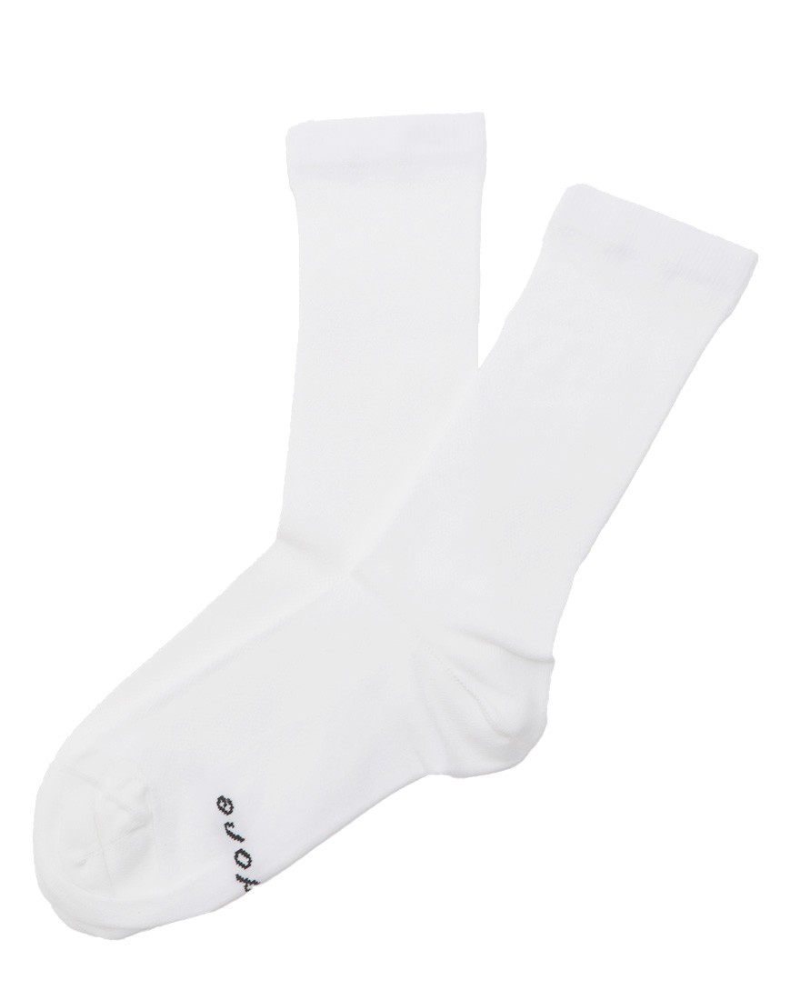 Isadoreサイクルソックス【Signature Light Socks】c3